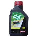 CNG EXPERT 15W50 API SN JASO MA2